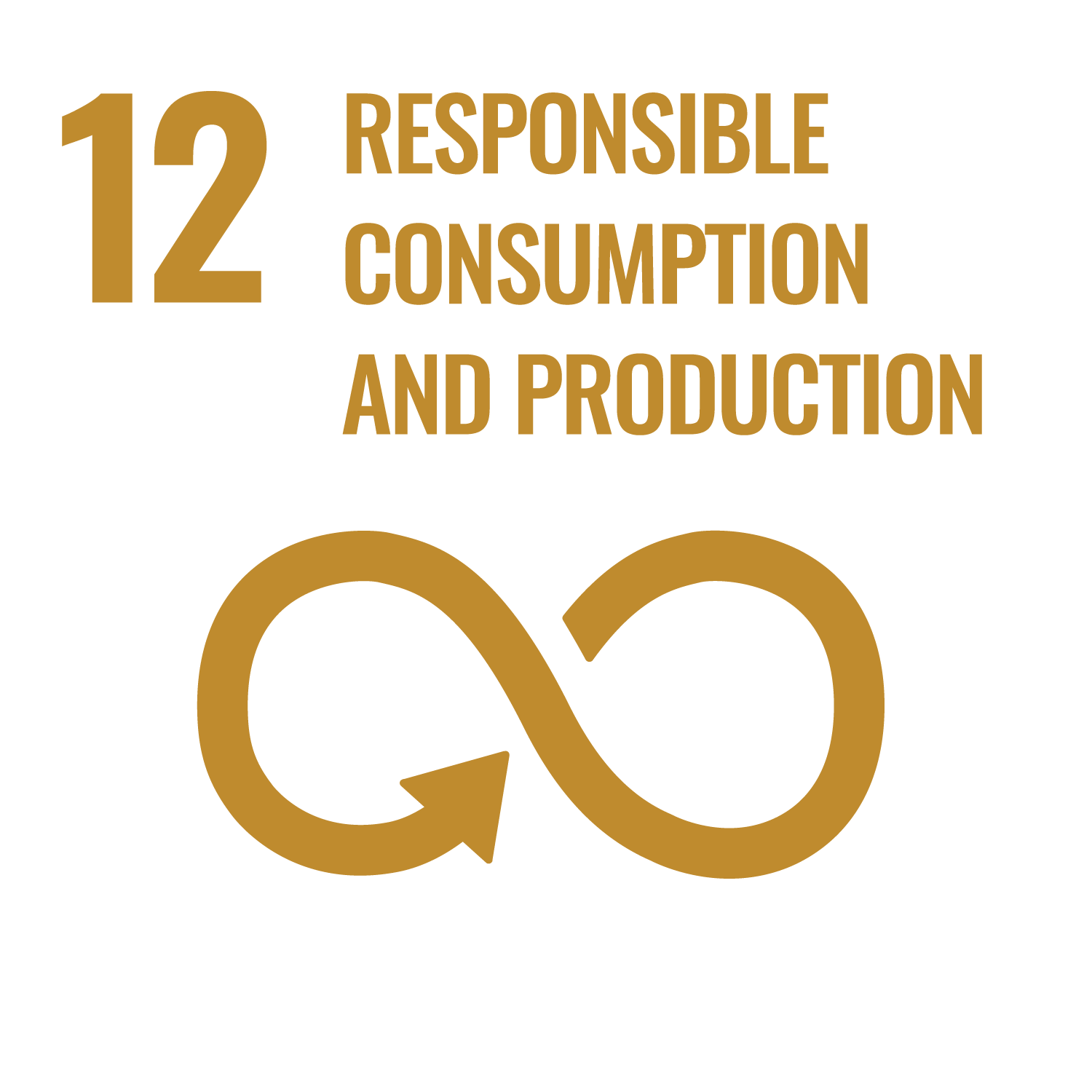 SDG 12 inverted