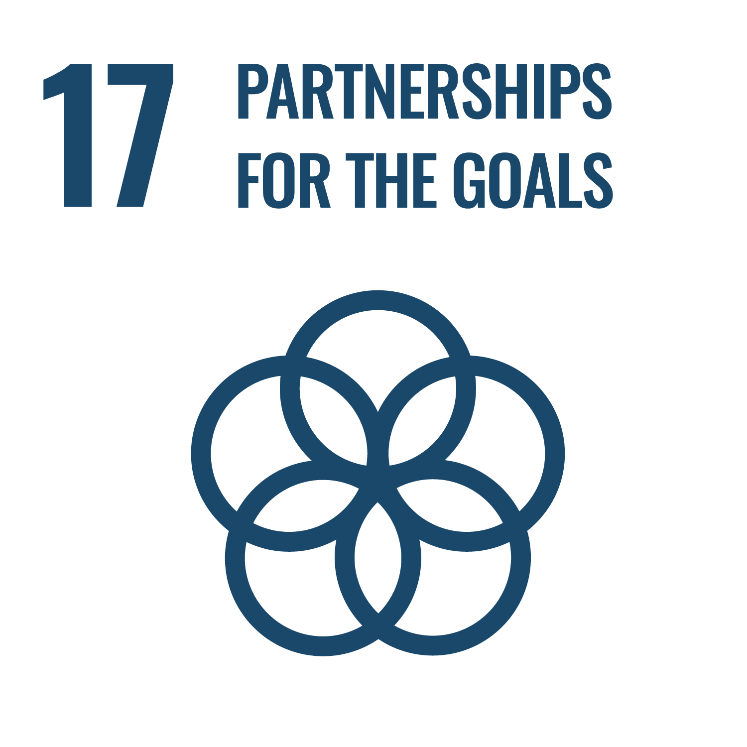 SDG 17 inverted